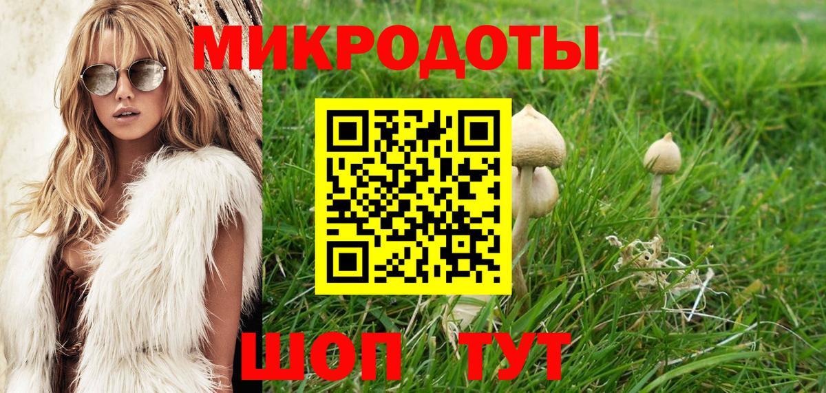 Псилоцибиновые грибы прущие грибы  купить  цена  Сланцы  Галлюциногенные грибы Magic Shrooms  Вход с VPN 
